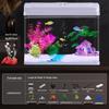 All-in-One Glass Aquarium Filter & Oxygenator - Small Eco-Friendly Desktop Tank 2025.