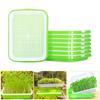 1set Sprout Tray Hydroponic Nursery Pots Soilless Double Layer Tray Plants Sprouting Tray with Lid Kits Household Germination