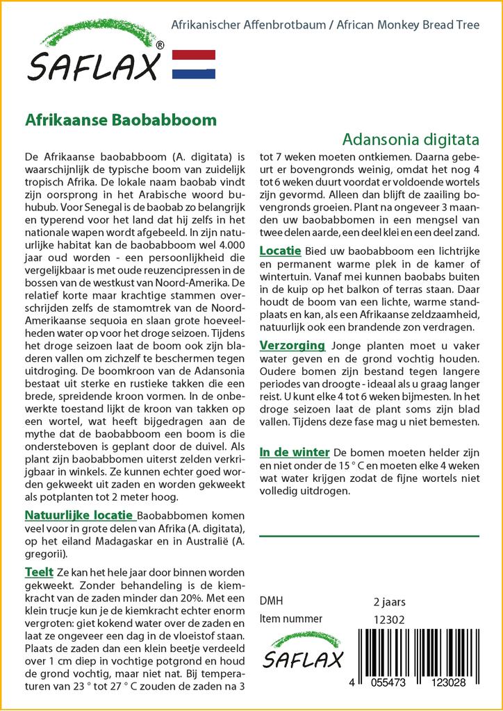 SAFLAX Хлебное дерево африканской обезьяны - 6 семян - Adansonia digitata