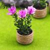Decorative Plastic Plants Mini Artificial with Vase, Small Fake in Handwoven Seagrass Flowers Baskets, Realistic Faux Floral Arrangement for