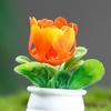 1 комплект, микро-растение в горшке, статуя из смолы, привлекательная DIY мини-пейзаж, мини-цветок