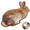 Non-Slip Rabbit-Shaped Area Rug 2D Cartoon Carpet Soft Home Decor Carpet Bedrooms