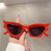 Trendy Retro Cat Eye Shades Women New Fashion Leopard Gradient Sunglasses Outdoor Decor Beach Trends Sun Glasses