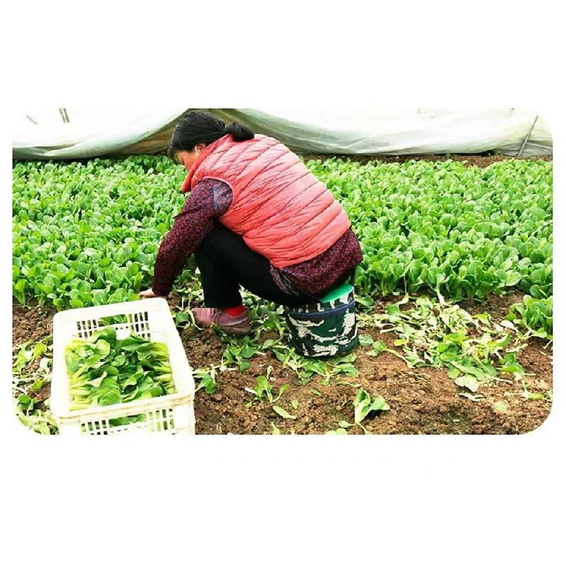 Outdoor Farm Work Foam Stool Garden Wearable Case Seat Attached Work Removable Gardening Hip Farming Cushion Planting Ottoman