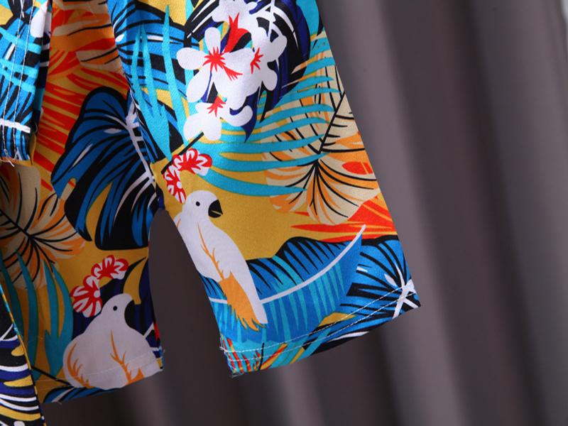 Комплекты из 2 предметов для мальчиков от 0 до 4 лет: комплекты с гавайскими шортами, рубашка на пуговицах с короткими рукавами и шорты