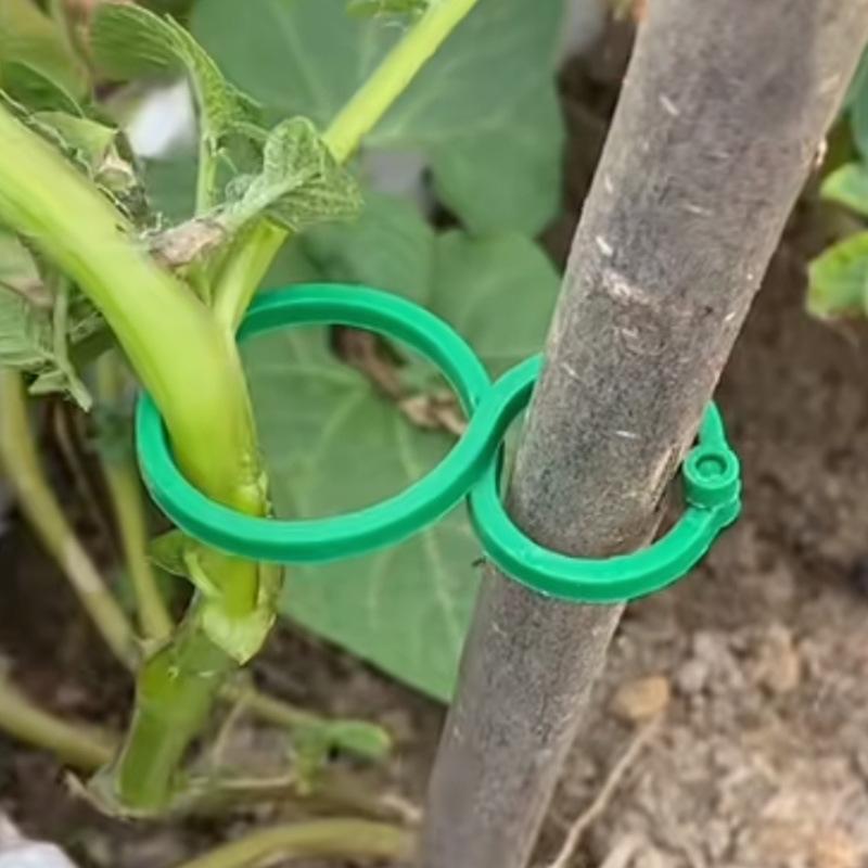 Gardening 8-figure Clip Garden Green Vine Fixation Clip Binding Device Garden Plant Stem Fixation Button