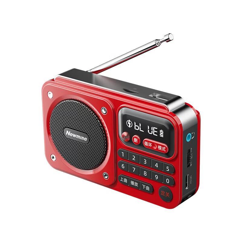 Портативное радио и Bluetooth-колонка Newmine N123, штекер CN (адаптер в комплекте) (Китайская версия)