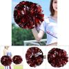 Cheerleader Pom Poms Dance Party Sports Competition School Pom Poms
