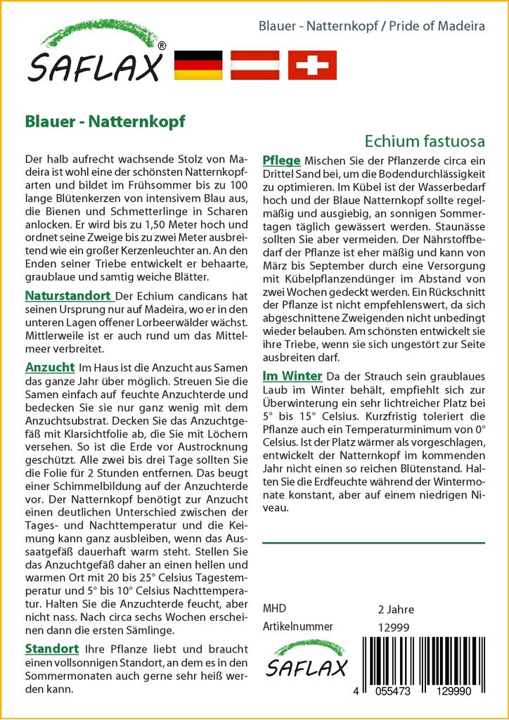 SAFLAX Гордость Мадейры - 100 семян - Echium fastuosa