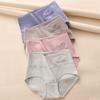 külotlar – Briefs-shorts
