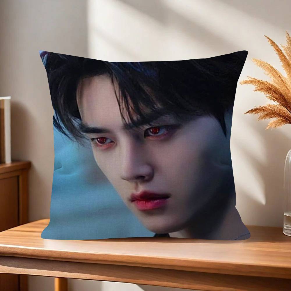 Kpop Actor Hot SSong Kang   Pillow Anime Pillow Sofa Bed Head Pillow Cover Cushion Cover x cm Fashion