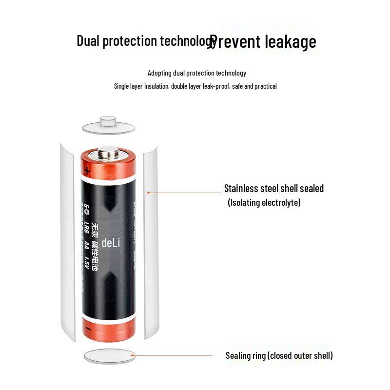 Deli AA Alkaline Batteries CN plug (adapter included)