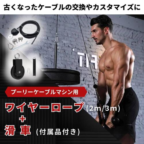 SALUDABLE Pulley, Wire Rope, Strength Training Equipment, Pulley, Training, Gym, Lifting (Wire Rope (3m) + Pulley Set)