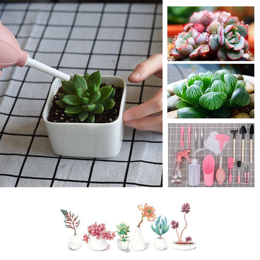 Комбинированный инструмент для пересадки рассады N1N, инструмент для посадки суккулентов, устройство для бурения, садовый набор для посадки