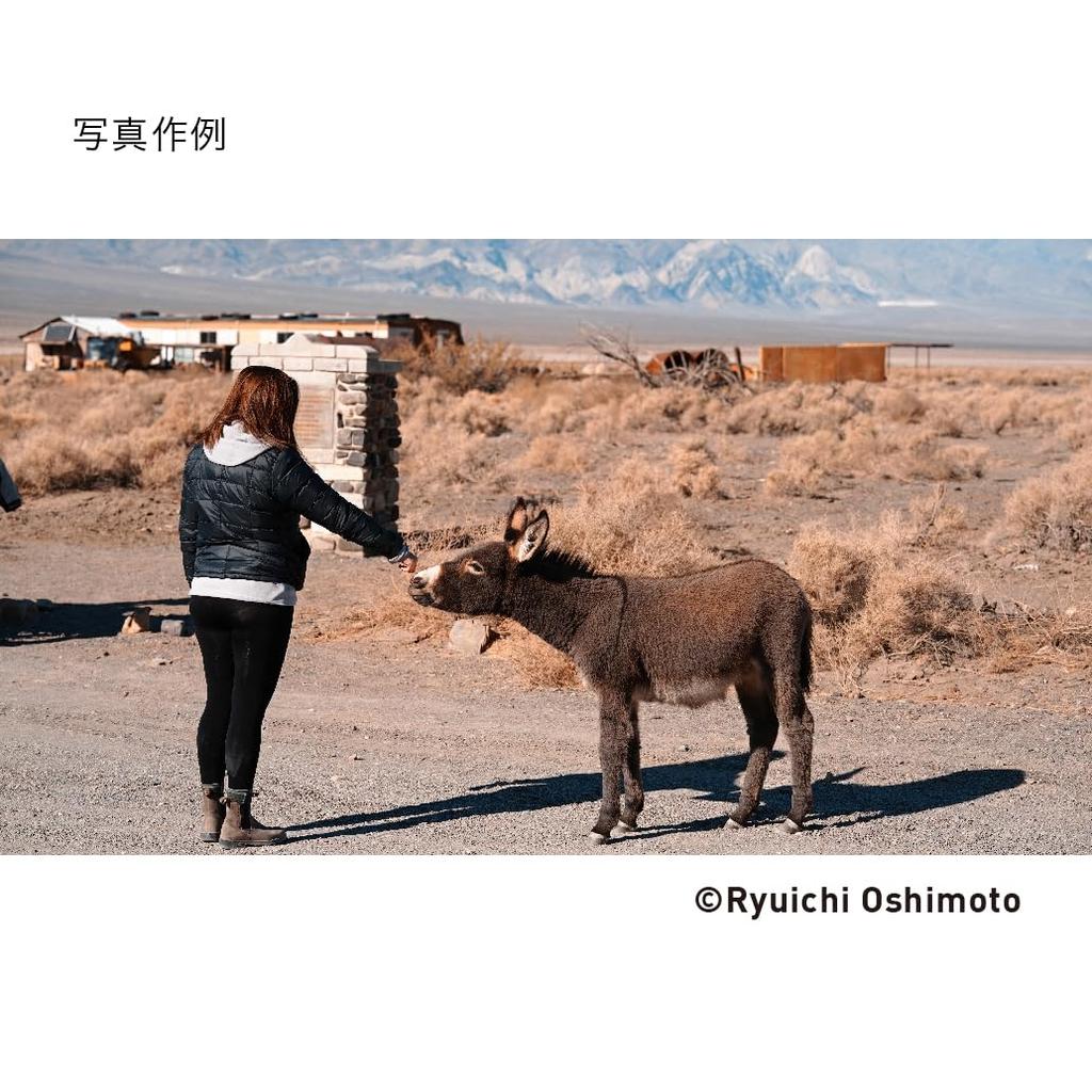 Sigma 85mm DG DN Lens for Leica Mirrorless Cameras F1.4 L-Mount, Full-Frame