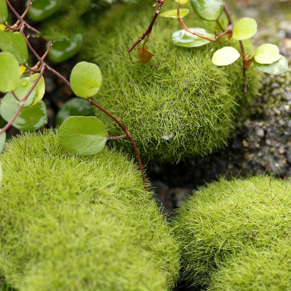Accessories Lawn Ornament Fairy Garden Home Decor Mossy Stone Stone Model Simulation Moss