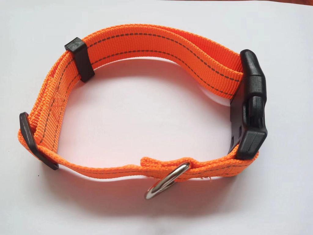 «Регулируемый светоотражающий нейлоновый ошейник и поводок для маленьких/средних собак»