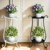 2-Tier Wrought Iron Plant Stand - Magic Table for Indoor/Outdoor Decor, Perfect for Potted Plants, Multi-Purpose Layered Shelf for Home or Garden
