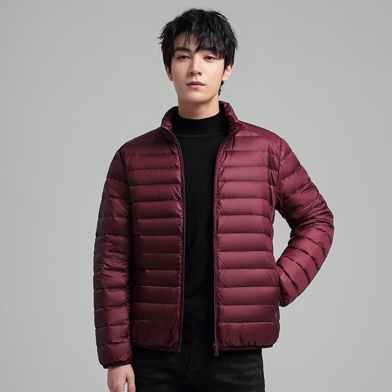 2023 Мужская легкая тонкая куртка с капюшоном - зимняя повседневная короткая и теплая