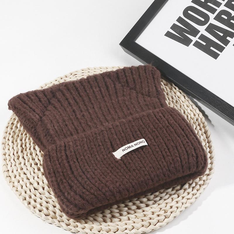 Japanese Cat Ear Wool Hat for Women In Autumn and Winter Warm Cute Knitted Hat Korean Version Versatile Cold Pullover Cold Hat