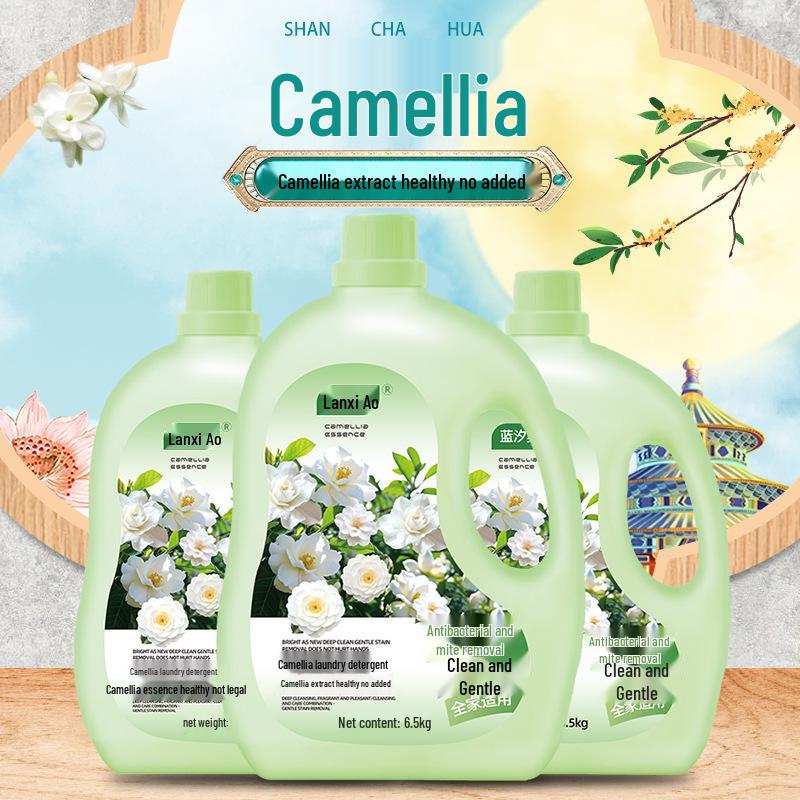 13 Jin Camellia Laundry Detergent: Large Bottle, Deep Clean, Long-Lasting Fragrance, Ideal for Underwear and Family Use
