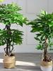 Eco-friendly Artificial Money Tree Bonsai with Real Trunk - Floor-standing Home Decor for Entrance & Garden, Attracts Wealth.
