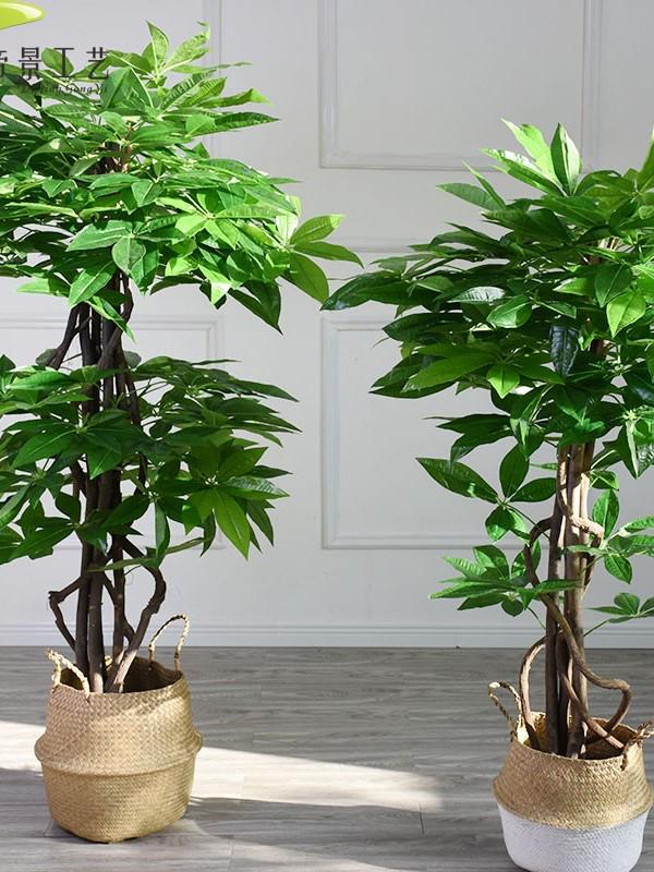 Eco-friendly Artificial Money Tree Bonsai with Real Trunk - Floor-standing Home Decor for Entrance & Garden, Attracts Wealth.