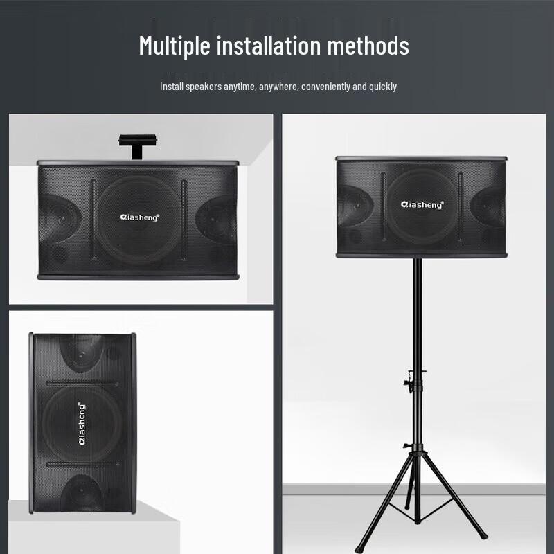 Профессиональные домашние KTV колонки QIASHENG