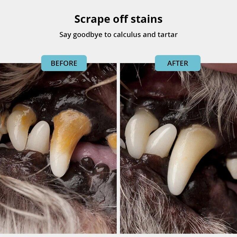 Средство для чистки зубов домашних животных для собак, средство для удаления зубного камня, скребок, стоматологическая ручка из нержавеющей стали, освежитель дыхания для полости рта домашних животных, щенков, инструмент для чистки полости рта