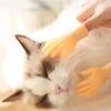 1 Pair of Cat Toys Massage Gloves Little Finger Cat Set Finger Hands Finger Toys Pet Supplies