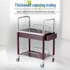 Modern 2-Tier Mobile Serving Trolley