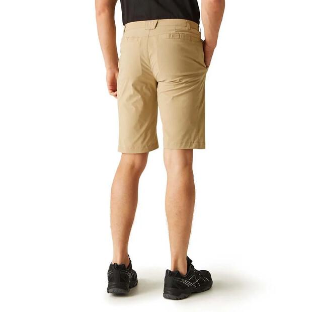 Regatta Шорты Highton Long