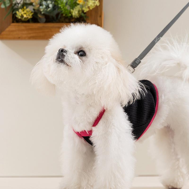 Сладкий и прохладный весенне-летний дышащий и прохладный комбинезон на лямках, двухногая жилетка, кошка-мишка, маленькая собака, собака, одежда для питомцев