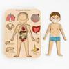 Children's Organ Puzzle Organ Puzzle Children's Learning Puzzle 1