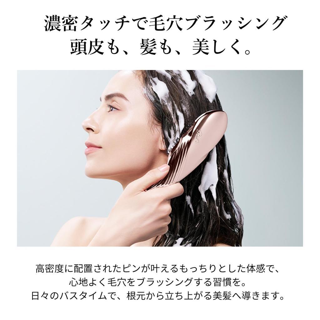 Store ReFa ION CARE BRUSH PREMIUM New Color [Official Only]