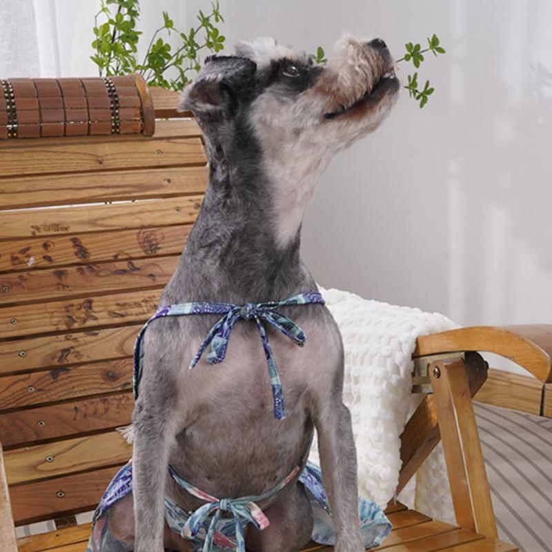 Пляжный купальник-бикини для домашних животных, комплект для маленьких собак с леопардовым принтом, летняя одежда для щенков, юбка, шнауцер, мопс, талисманы, купальники