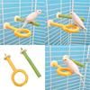 Bird Perch Nature Molar Stand for Parrots Conure Supplies Budgies Grinding Scratchers for Small Medium Parrots Toy