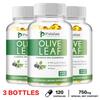 Pslalae - 750mg Olive Leaf Extract Capsules - Skin Health