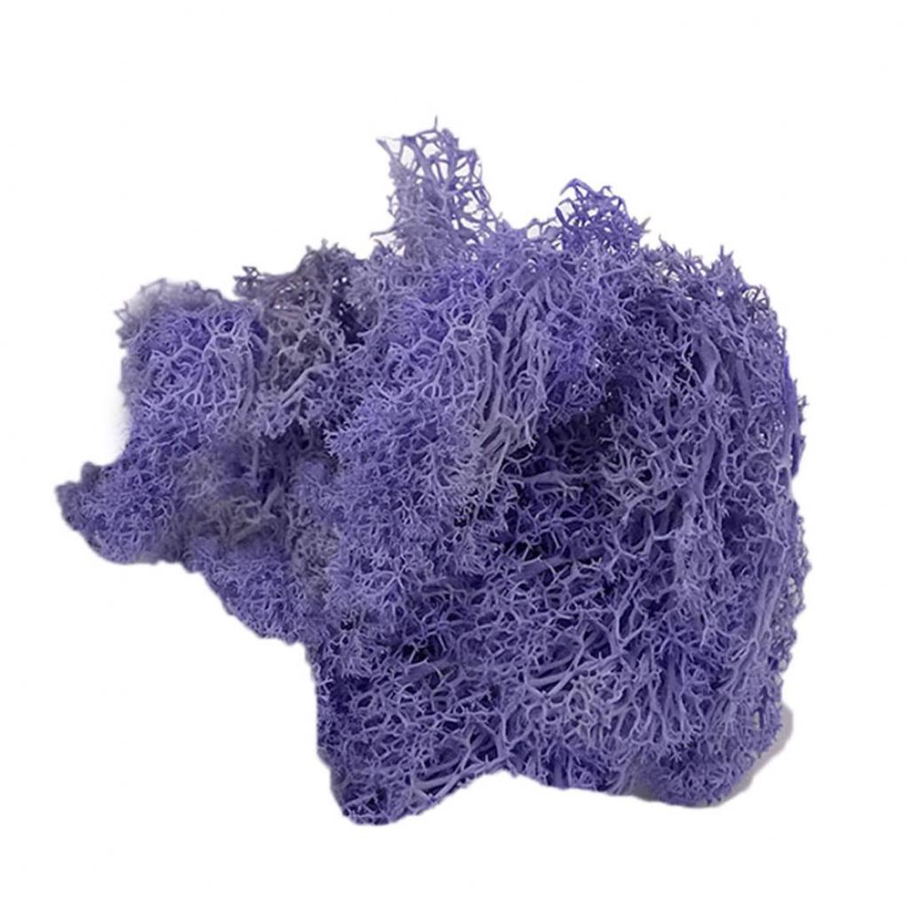 Artificial Plant Preserved Flower Reindeer Moss DIY Craft Garden Home Decor KTY