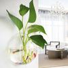 1 Set Universal Fish Tank Clear Useful Bedroom Living Room Flowerpot Decoration with Hanging Hole