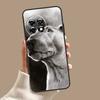 Чехол для телефона Bullterrier Bull Terrier Для OnePlus Nord 5 CE 4 3 Lite N20 N30 OnePlus 15 13 12 11 8 9 10 Pro 12R 13T 13R Обложка