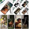Доминирующий Крутой Чехол для Телефона с Лошадью для Samsung Galaxy S25 Ultra S9 S10 S20 S21 FE S22 S23 S24 Plus S24 Ultra Чехол
