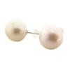[New] Pt900 South Sea White Pearl (cream White Type) Earrings/g440-40