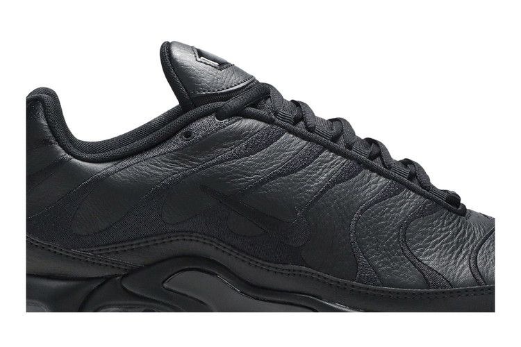 Nike Air Max Plus Тройной черный кожа