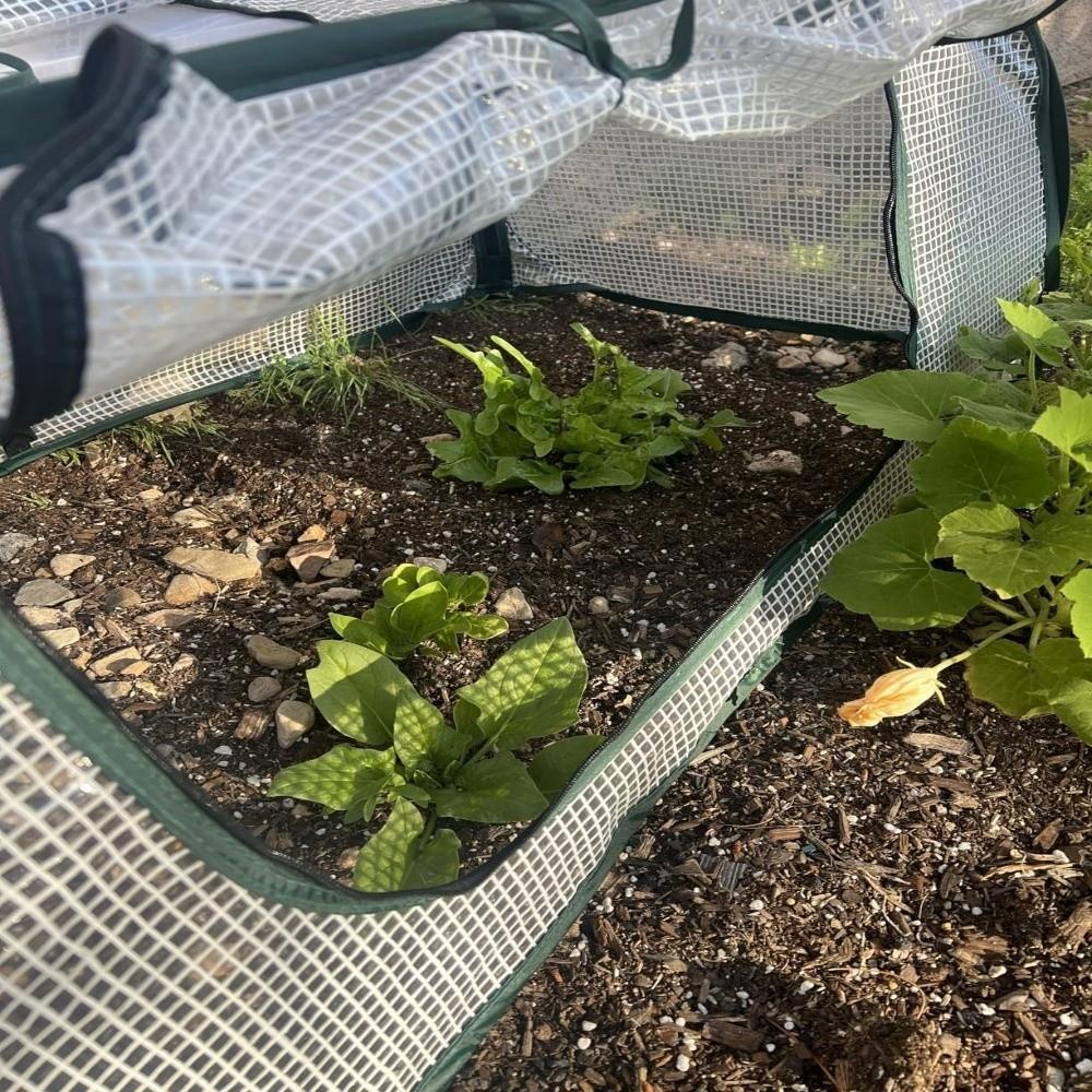 Insulated Plant Cover Pop Up Plant Netting Clear PVC Plant Protector Cage Vegetable Beds