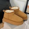 2026 Зимние Новые Женские Снежные Ботинки Модные Повседневные Ботильоны Плюшевые Теплые Хлопковые Ботинки Нескользящие Ботинки на Платформе для Женщин Зимние Ботинки