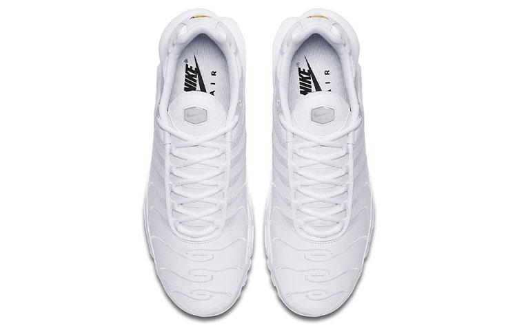 Nike Air Max Plus Triple White AJ2029-100