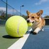Большой надувной собачий теннис с насосом Extra Large Pet Tennis Набор Ярко-желтый Зеленый Высокий Фетровый Уличный Пляжный Садовый Игровой Игрушка