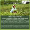 Octavius Nilgiri Highgrown Whole Leaf South Indian Orthodox Black Tea | Среднетелый, мягкий, мягкий вкус | 100 грамм (50 чашек)
