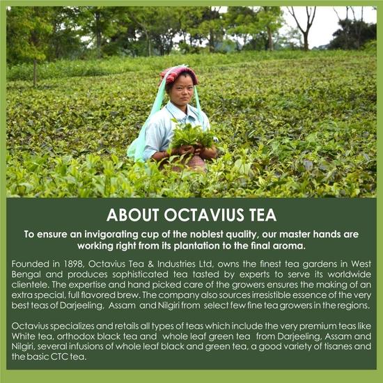 Octavius Nilgiri Highgrown Whole Leaf South Indian Orthodox Black Tea | Среднетелый, мягкий, мягкий вкус | 100 грамм (50 чашек)